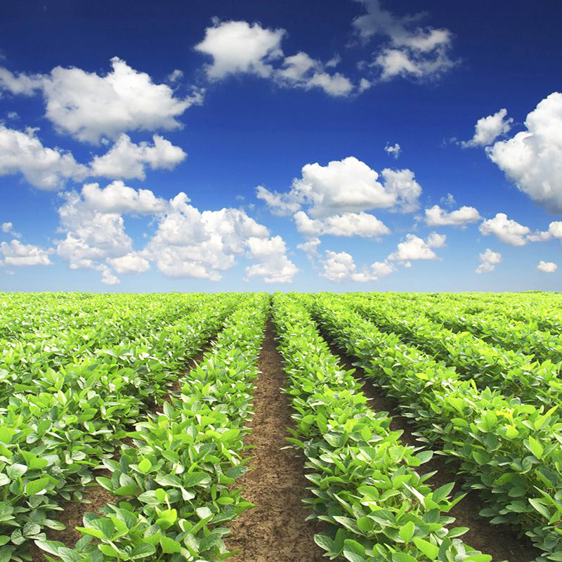 General Mills empowers zero carbon mission with regenerative